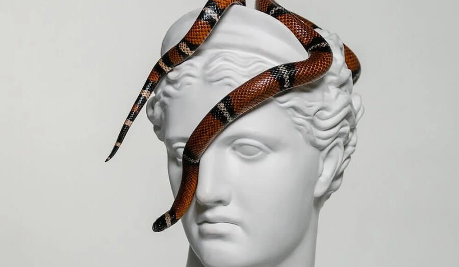 ¿Cuánto puede durar una Fobia?